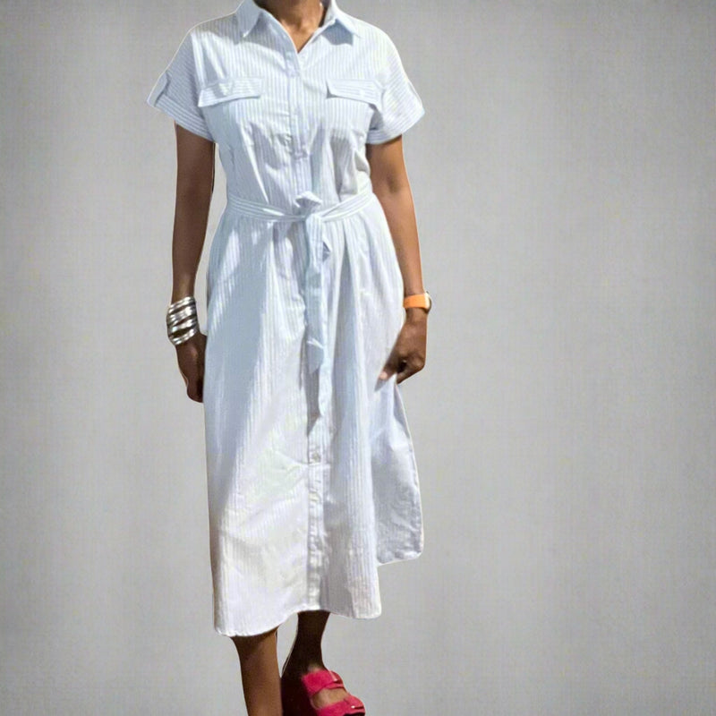 She and Sky Blue and White Button Down Dress